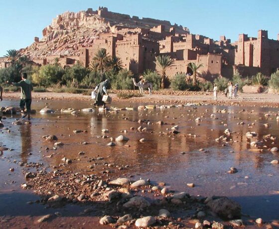 IGoMorocco - Marrakech Desert Tours and Day Trips