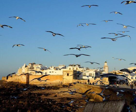 essaouira