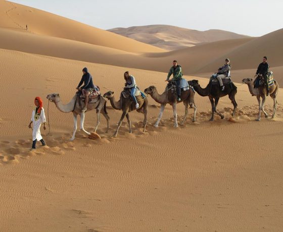 marrakech desert tours