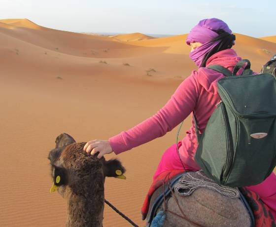 Fes to Marrakech desert tour